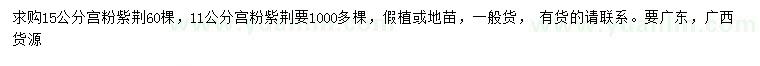 求購11、15公分宮粉紫荊