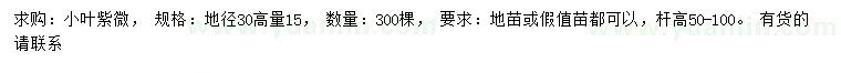 求購地徑30量15公分小葉紫微
