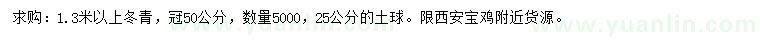 求購1.3米以上冬青