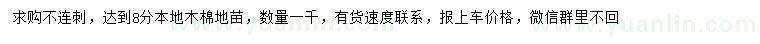 求購8公分木棉苗