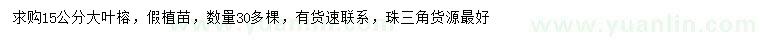 求購(gòu)15公分大葉榕