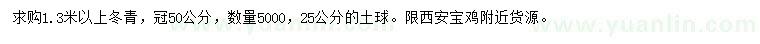 求購1.3米冬青