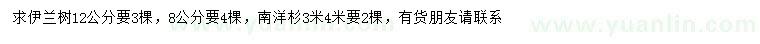 求購8、12公分伊蘭樹、3、4米南洋杉