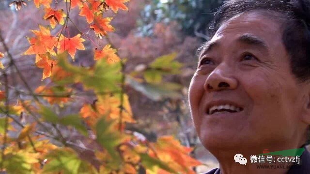 奧林雞爪槭基地創(chuàng)始人郭中良被評(píng)為2017年誠(chéng)實(shí)守信中國(guó)好人