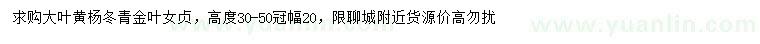 求購(gòu)大葉黃楊、冬青、金葉女貞