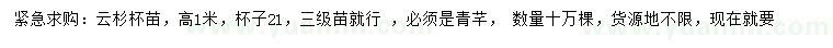 求購高1米云杉