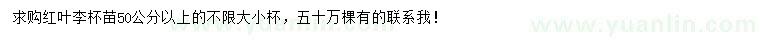 求購50公分以上紅葉李