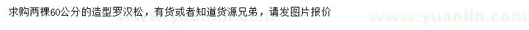 求購60公分造型羅漢松