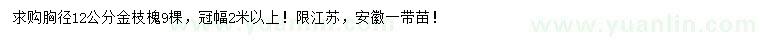 求購胸徑12公分金枝槐