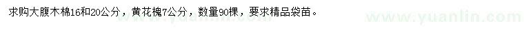 求購16、20公分大腹木棉、7公分黃花槐