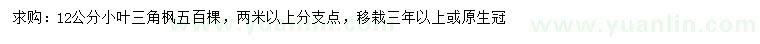 求購12公分小葉三角楓
