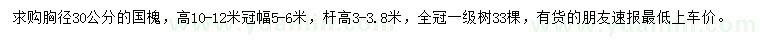 求購胸徑30公分國槐