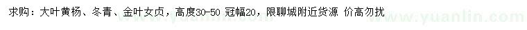 求購大葉黃楊、冬青、金葉女貞等