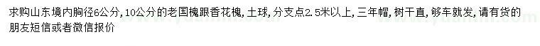 求購胸徑6、10公分老國槐、香花槐