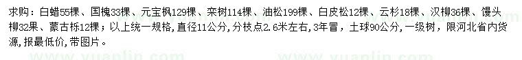 求購白蠟、國槐、元寶楓等