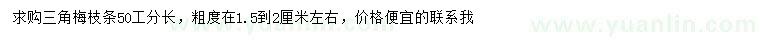 求購條長50公分三角梅枝條