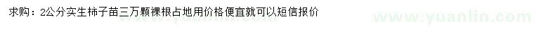 求購2公分柿子樹