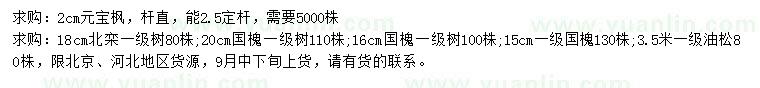 求購元寶楓、北欒、國槐等