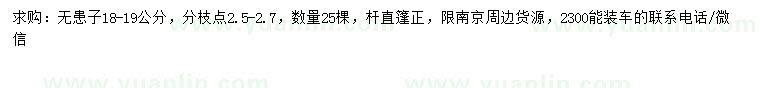 求購18-19公分無患子