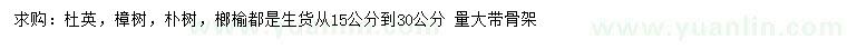求購杜英、樟樹、樸樹等