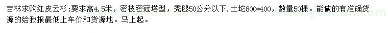 求購高4.5米紅皮云杉