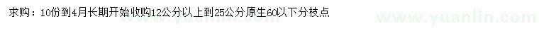 求購12-25公分紅葉李