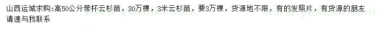 求購(gòu)高50公分、3米云杉