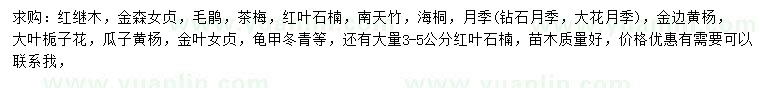 求購紅繼木、金森女貞、毛鵑等