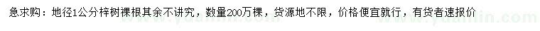 求購地徑1公分梓樹