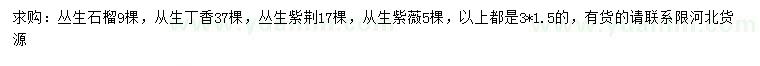 求購(gòu)叢生石榴樹(shù)、從生丁香、叢生紫荊等