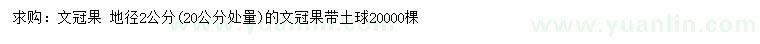 求購20量2公分文冠果樹