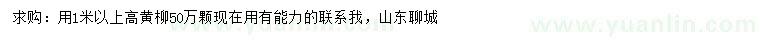 求購高1米以上黃柳