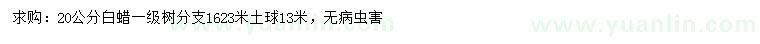 求購20公分白蠟