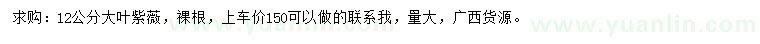 求購12公分大葉紫薇