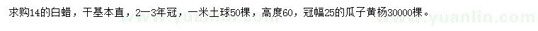 求購14公分白蠟、高60公分瓜子黃楊