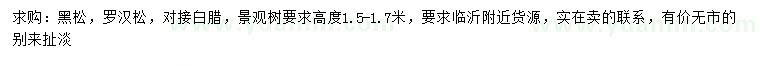 求購黑松、羅漢松、對節白蠟