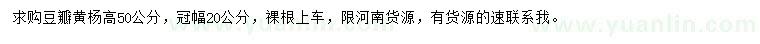 求購高50公分豆瓣黃楊