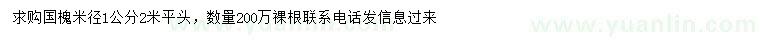 求購(gòu)2米國(guó)槐