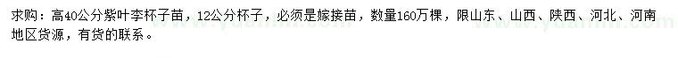 求購高40公分紫葉李