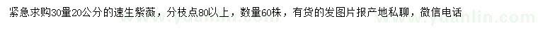 求購30量20公分速生紫薇