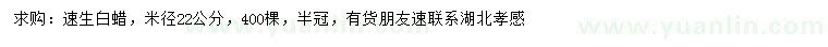 求購米徑22公分速生白蠟