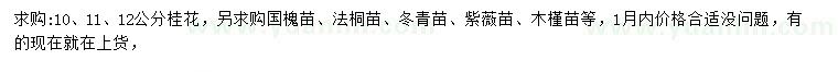 求購(gòu)桂花、國(guó)槐苗、法桐苗等