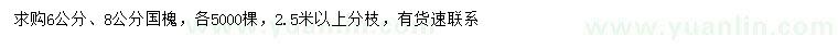 求購6、8公分國槐