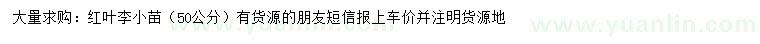 求購50公分紅葉李