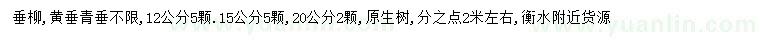 求購12、15、20公分垂柳