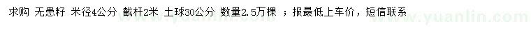 求購米徑4公分無患子