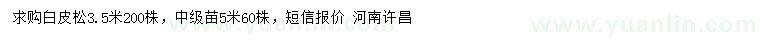 求購3.5、5米白皮松