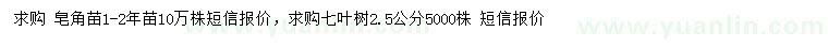 求購(gòu)皂角苗、2.5公分七葉樹(shù)