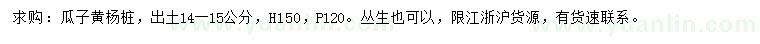 求購(gòu)14-15公分瓜子黃楊樁
