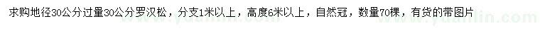 求購30以上量30公分羅漢松